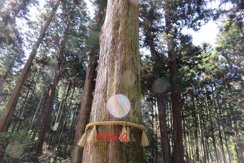 栃木県佐野市整体,宇都宮市占い,小山市整体,茨城県水戸市占い,美浦村スピリチュアルヒーリング
