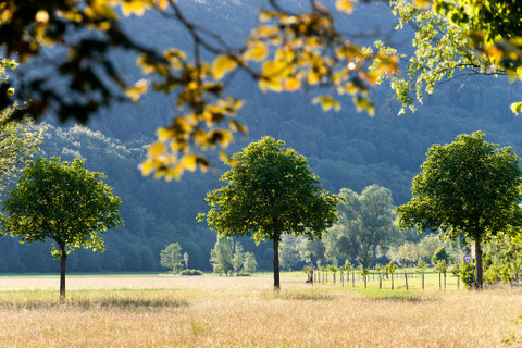 Natur pur!!!