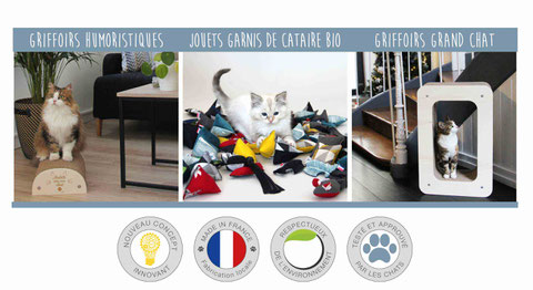 Chez chat élevé alat Paramètres hépatiques