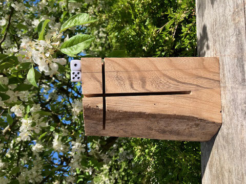 51: 22,5x15 cm     51