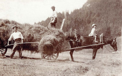 Raccolta del fieno alla Tornaz negli anni 1910-1920