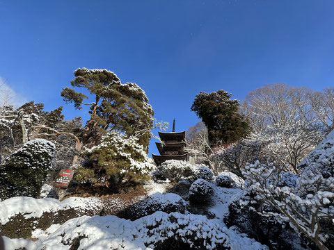 大法寺　国宝　三重の塔　雪景色