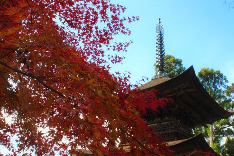 大法寺　国宝　三重の塔　紅葉