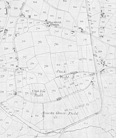 Tithe Map 1847 (extract) (Birmingham Libraries)