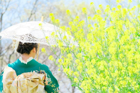 西美濃 大垣市 垂井町 揖斐川町 垂井町 海津町 神戸町 養老町 羽島市 瑞穂市 穂積 巣南 各務原市 関ヶ原町 大野町 大垣城 岐阜市 北方町 輪之内町 池田町 隠れ家 フォト婚 和婚 和装 花嫁 和ロケ 大人婚 着物女子 着物ロケ 思い出 写真館 記念日 金婚式 銀婚式 ロケ撮 岐阜ロケ 大垣ロケ ロケーション撮影 古民家 水の都 水都旅 隠れ家 ひまわり畑 桜撮影 水門川下り たらい舟 住吉灯台 カミツレ畑 みどり橋 大垣城 火鉢カフェ 火鉢体験 昭和レトロ 大正レトロ 縁側カフェ 壽庵 ほっこり 