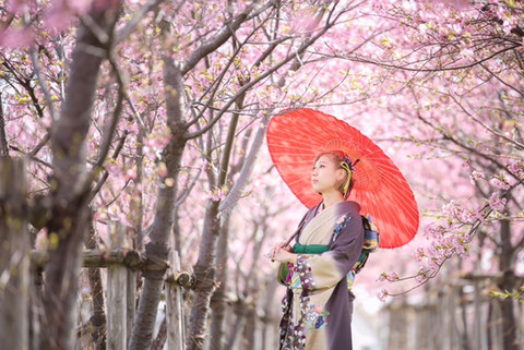 西美濃 大垣市 垂井町 揖斐川町 垂井町 海津町 神戸町 養老町 羽島市 瑞穂市 穂積 巣南 各務原市 関ヶ原町 大野町 大垣城 岐阜市 北方町 輪之内町 池田町 隠れ家 フォト婚 和婚 和装 花嫁 和ロケ 大人婚 着物女子 着物ロケ 思い出 写真館 記念日 金婚式 銀婚式 ロケ撮 岐阜ロケ 大垣ロケ ロケーション撮影 古民家 水の都 水都旅 隠れ家 ひまわり畑 桜撮影 水門川下り たらい舟 住吉灯台 カミツレ畑 みどり橋 大垣城 火鉢カフェ 火鉢体験 昭和レトロ 大正レトロ 縁側カフェ 壽庵 ほっこり 