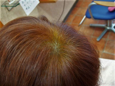 HQヘナとシコン色で2度染め直後