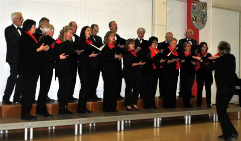 Die Bockleter Singfoniker beim FSB-Leistungssingen in Sulzbach-Rosenberg 23.11.14