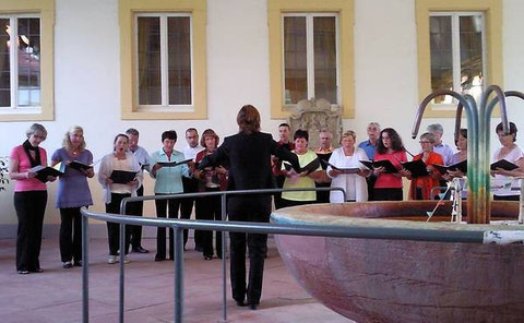 SaaleMusicum 2011