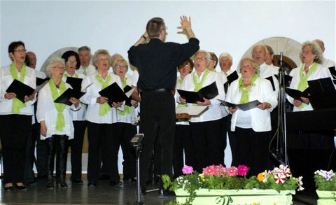 Chor 2016 - Leitung: Nikolaus Metz