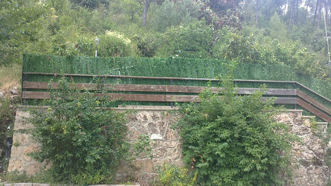 Y entre medio de lo verde....la piscina.