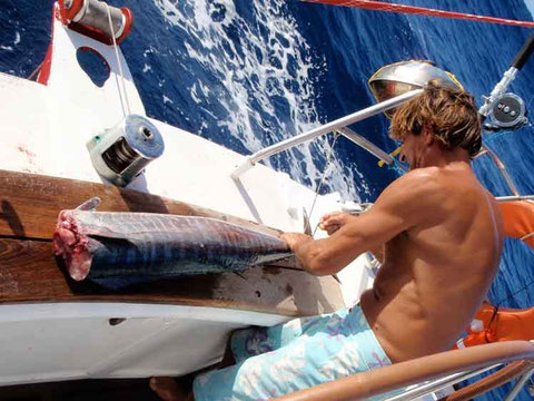 Reposez-vous Sur La Mer Un Crabe Dans Un Chapeau Sous Un Parapluie à Côté  D'un Transat Parmi Les Palmiers Et Le Sable