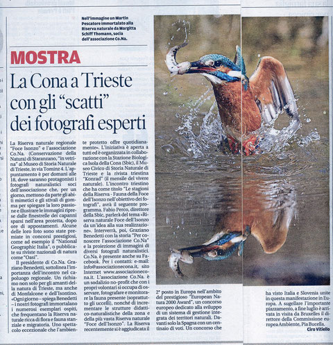 articolo sul PICCOLO settembre 2015 con foto mia