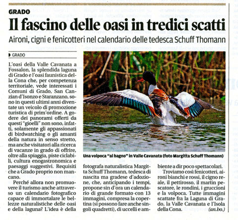 articolo su "il piccolo" del 4 giugno 2013.... article in the newspaper "il piccolo" from 4 th june 2013