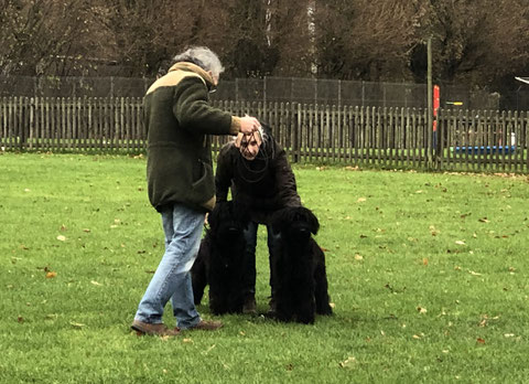 Bild vom 16. November 2019