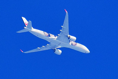 ＪＡＬ特別塗装機_Airbus A350-900 　2020年8月15日　・『嵐』五人の顔が描かれている。　羽田発新千歳着便と思われる。