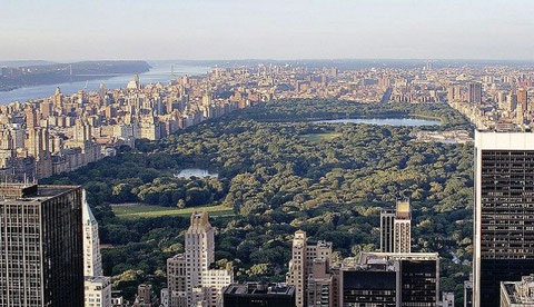 New York City (Creative Commons Photo, Courtesy of Alfred Hutter on Wikipedia)