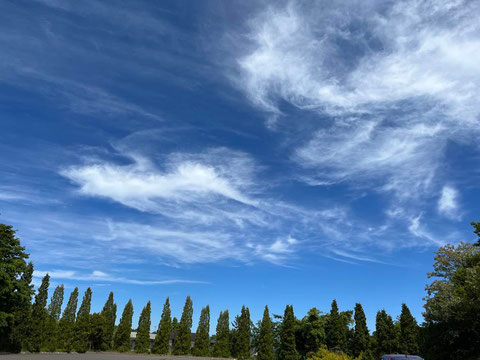 札幌で小学生向けの書道教室いろはのブログで、 大空に広がる雲    今日の雲は、書道のかすれを思います。