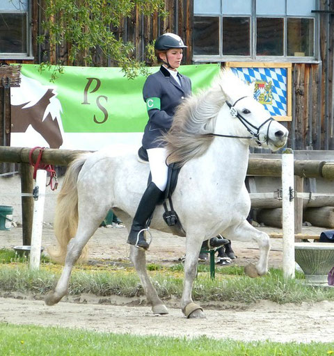 Pia Holzmann mit Fenja fra Hjorimmen im Tölt