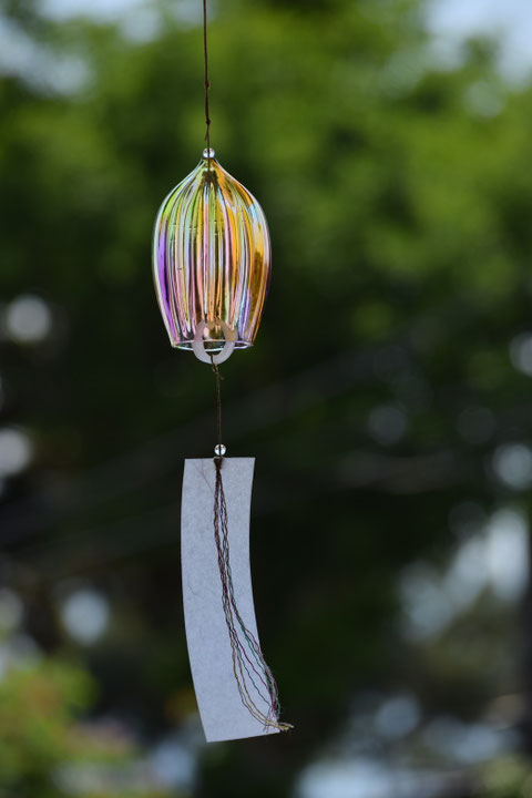 ウミガメ 神奈川県小田原市 海の見える吹きガラス体験工房 Glasscalico