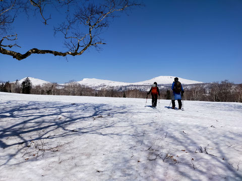 無意根の山並が私たちを呼んでいる気がする
