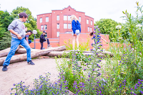 Der neue Spielhügel mit Baum-Mikado und Blumen