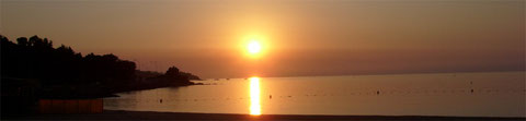 Header_28