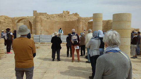 Première célébration à Avdat