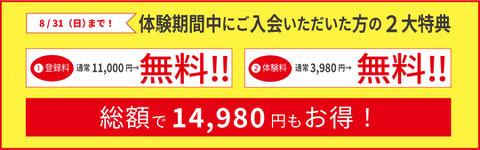 ペインフリー特典