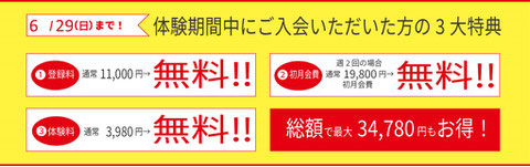 ペインフリー特典