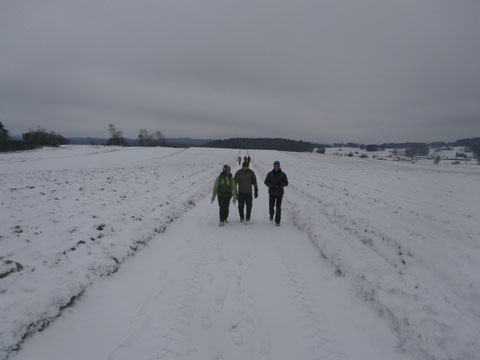 Auf dem Gedenkweg "Robert Hamerling" von Schweiggers nach Großschönau und retour über Großwolfgers. Foto von der Hochebene bei Jagenbach. Teilnehmer: Zehn Unerschrockene, welche den eisigen Temperaturen trotzten.