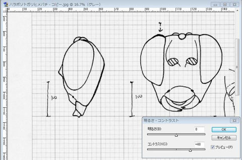 コントラストを40～50程度上げる