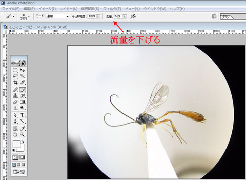 黒い部分を中心に背景を整えてゆく(パソコンの画面を傾けるとコントラストが目立ち調整しやすい))