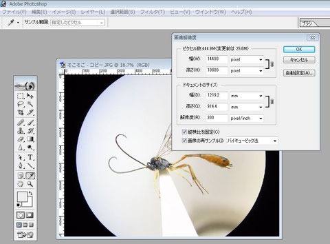 画像解像度の調整(しなくてもよい)