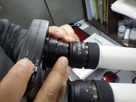 ちょっとだけ隙間をあけて撮影する(撮影時はカメラを接眼レンズに対し素早く平行移動させ、画面を明るくさせる)