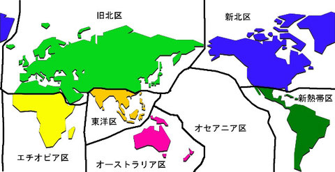 生物地理区(境界はおおよそ)