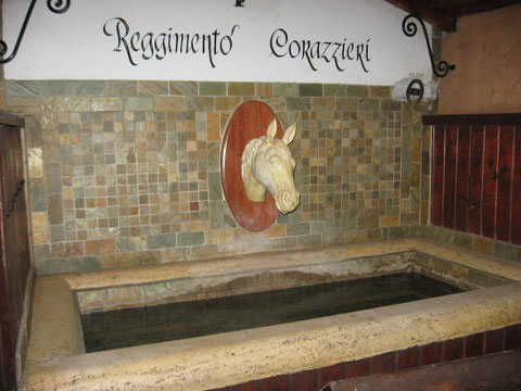 Visita Reggimento Corazzieri.