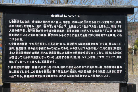 最近やたらとTV等に紹介されて有名になったそうだが、highdyは全く知らなかった。