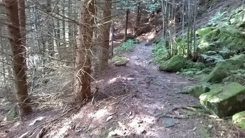 Der schwierige Weg nach unten