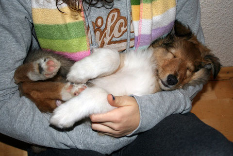 Letztes Nickerchen in Louisa's Arm