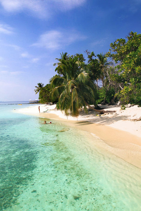 Bandos Island - That one time I got invited to the Maldives © Sabrina Iovino | via @Just1WayTicket