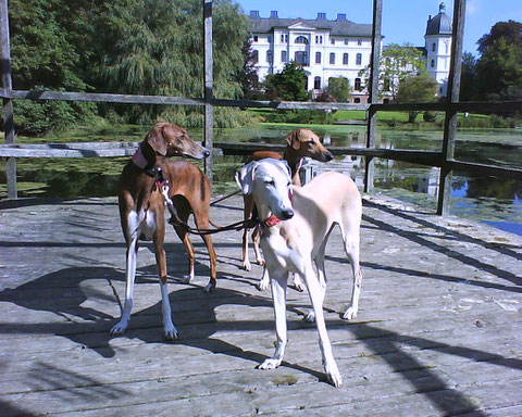 SALZAU im September ´10