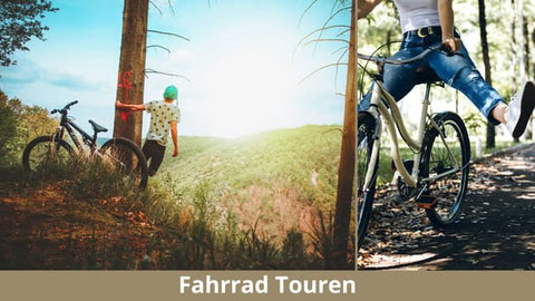 Geführte Fahrradtour durch Hamburgs Altstadt und Hafen