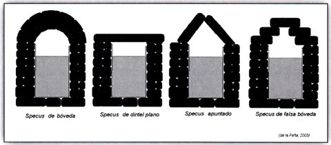 Tipos de "specus".