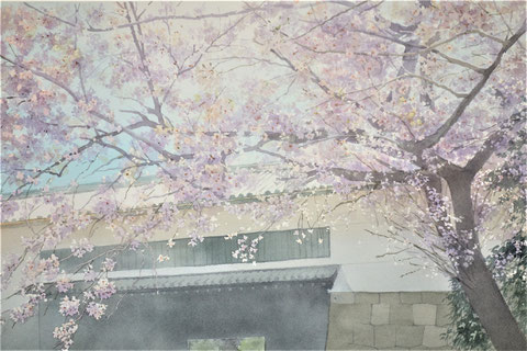 Work 5, " Sakura "  33x50cm,  270,000yen , sold