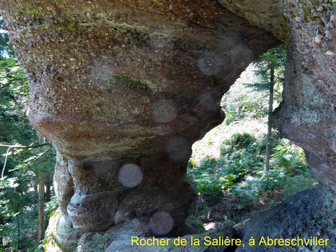 Grand Soldat, forët, Vosges