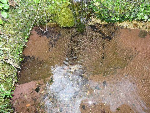 Photo prise au-dessus de la fontaine de Bonne Fontaine. Remarquez le dessin d'un chien qui apparaît, en bas, à droite. C'est un "émanant" (voir la rubrique sur "Les Esprits de la Nature" et, notamment le diaporama sur "la créativité des Esprits de l'Eau")