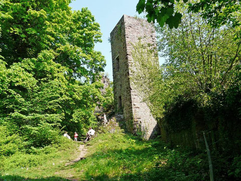 Le château de Greifenstein