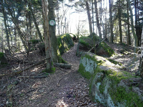 Le Kuhberg (595m)