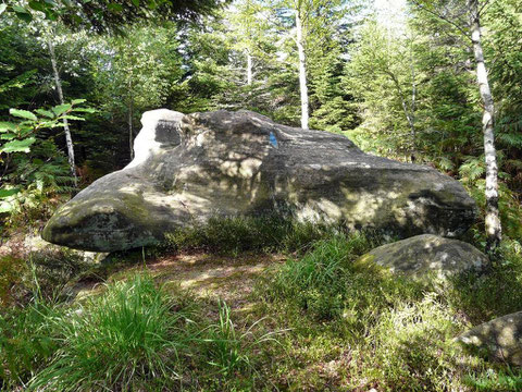 Dolmen de la Haute Côte